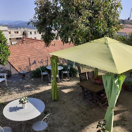 Les Palmiers Bed & Breakfast Grasse Exterior photo